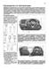 Honda Fit / Jazz. Руководство по ремонту и эксплуатации. Книга H2007 фото 4